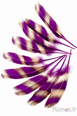 Oie rayé doré - 15-21 cm - aubergine